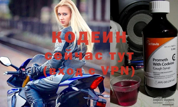 трава Осинники