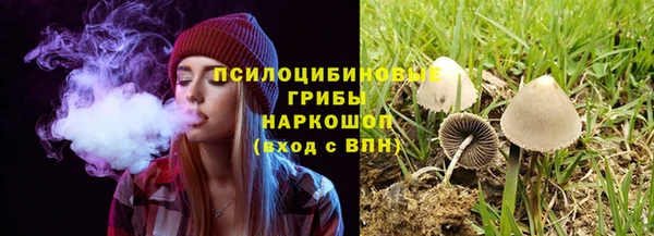 трава Осинники