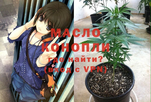 трава Осинники