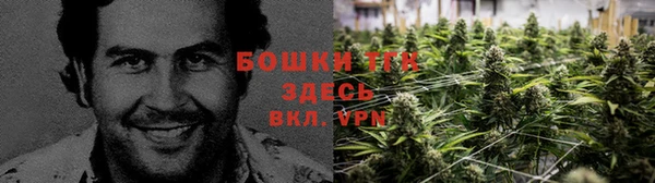 ALPHA PVP Тотьма