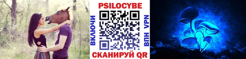 сайты даркнета Telegram  Слюдянка  Псилоцибиновые грибы ЛСД 